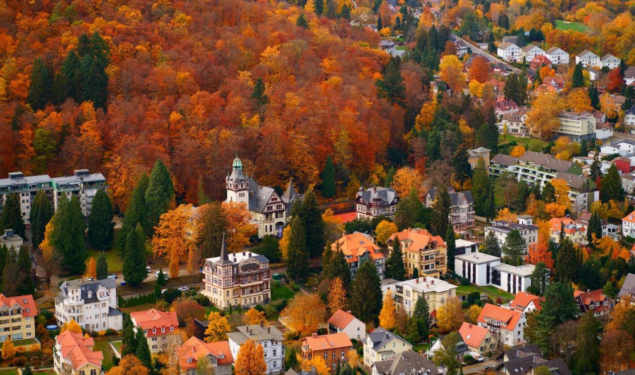 Fewo Harzgipfel Mit Dampfdusche #Innestadtnaehe#Netflix Von Harztraveler Bad Harzburg Extérieur photo