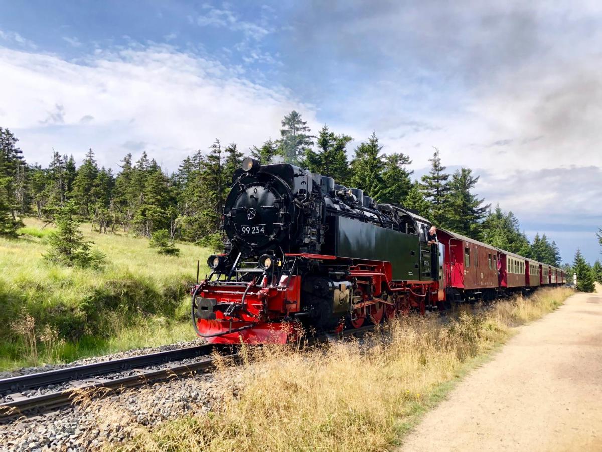 Fewo Harzgipfel Mit Dampfdusche #Innestadtnaehe#Netflix Von Harztraveler Bad Harzburg Extérieur photo
